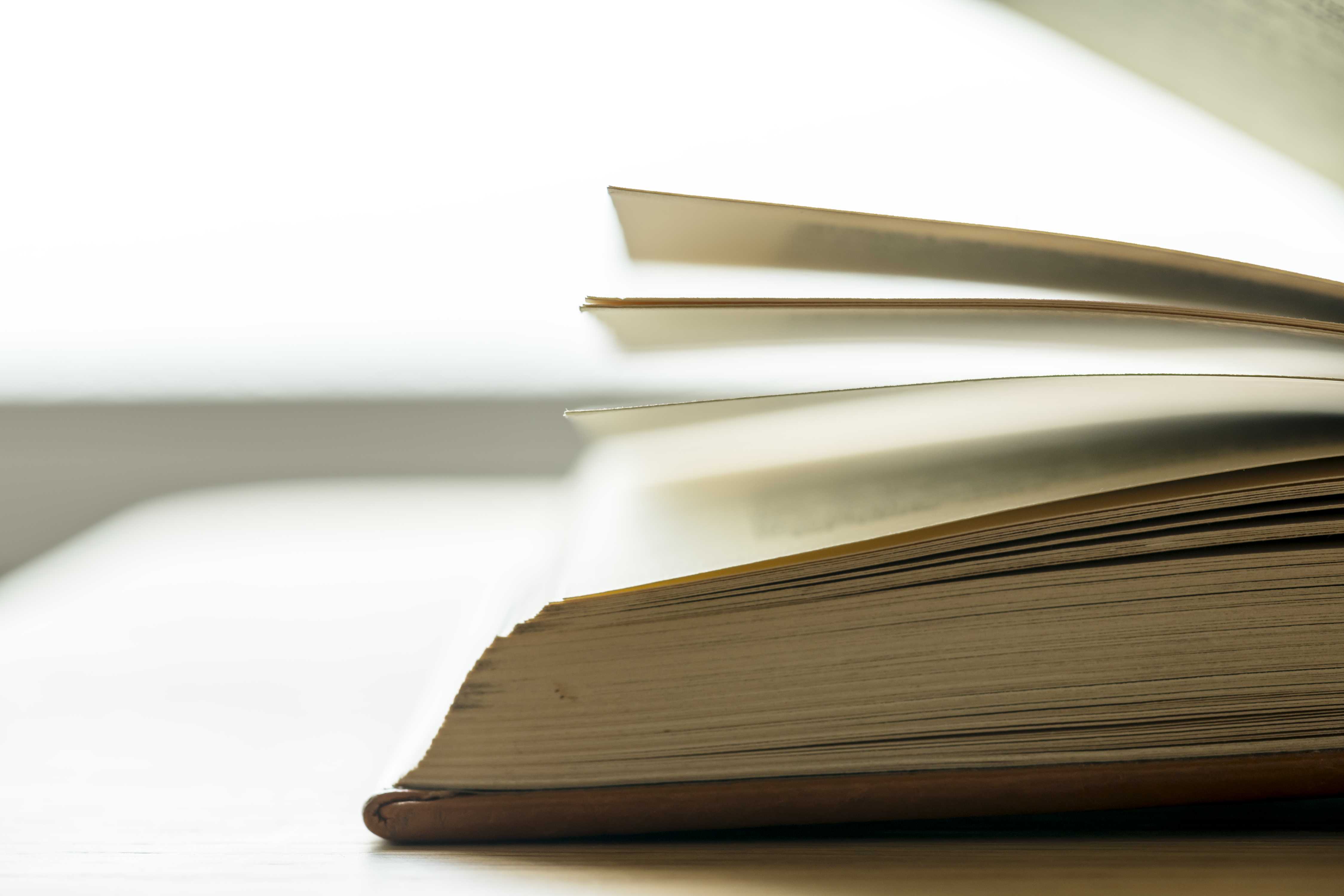 Closeup Of An Open Book Educational, Academic And Literary Concept